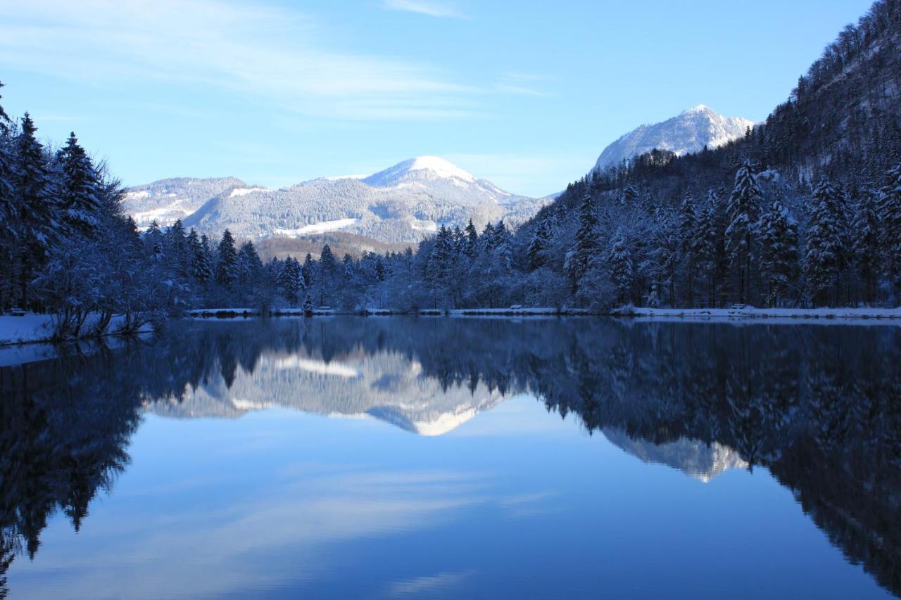 Gaestehaus Reiter Golling an der Salzach Exteriér fotografie